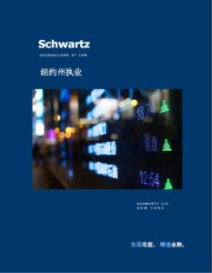 Firm Brochure (CHINESE) 宣传册 - 中文) 2024-1 Thumb